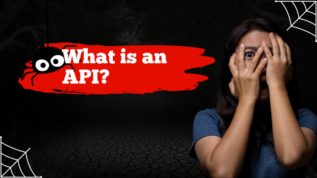 What is an API