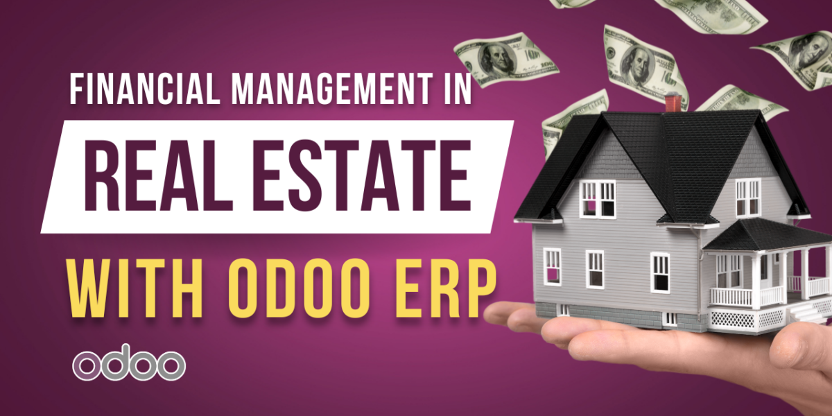 Financial Management in Real Estate with Odoo ERP