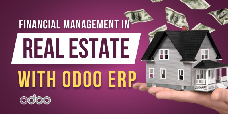 Financial Management in Real Estate with Odoo ERP